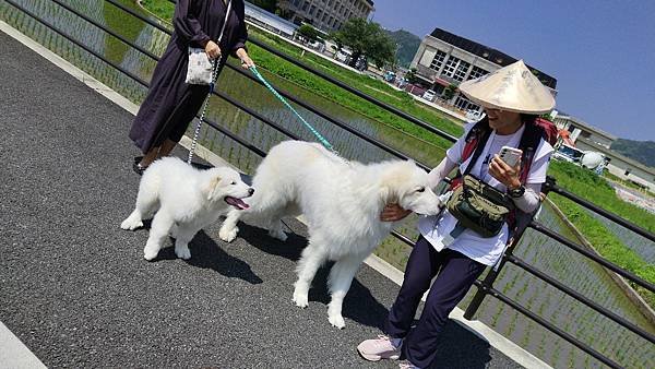 四國遍路第18天　Aoikuni Hotel日式商務旅館→搭