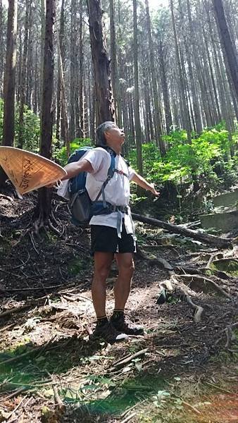 四國遍路第18天　Aoikuni Hotel日式商務旅館→搭