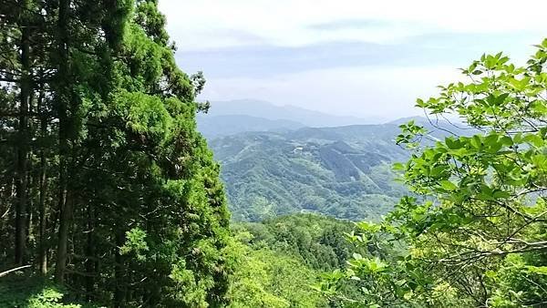 四國遍路第18天　Aoikuni Hotel日式商務旅館→搭