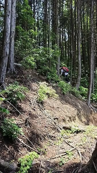 四國遍路第18天　Aoikuni Hotel日式商務旅館→搭