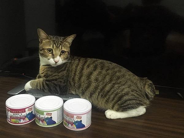 給我家主子最好的~~ PURRFACT 波菲特貓用主食罐、低