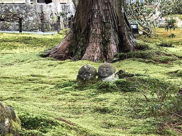 京都大原三千院交通