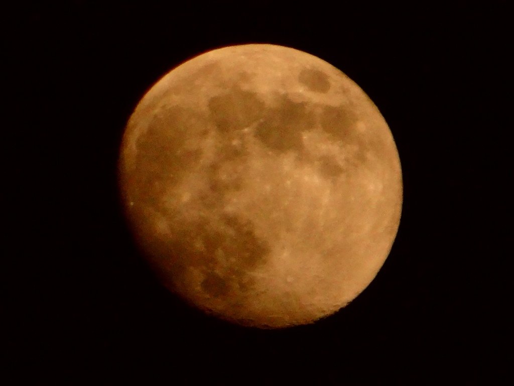 20130917-DSC04654.JPG