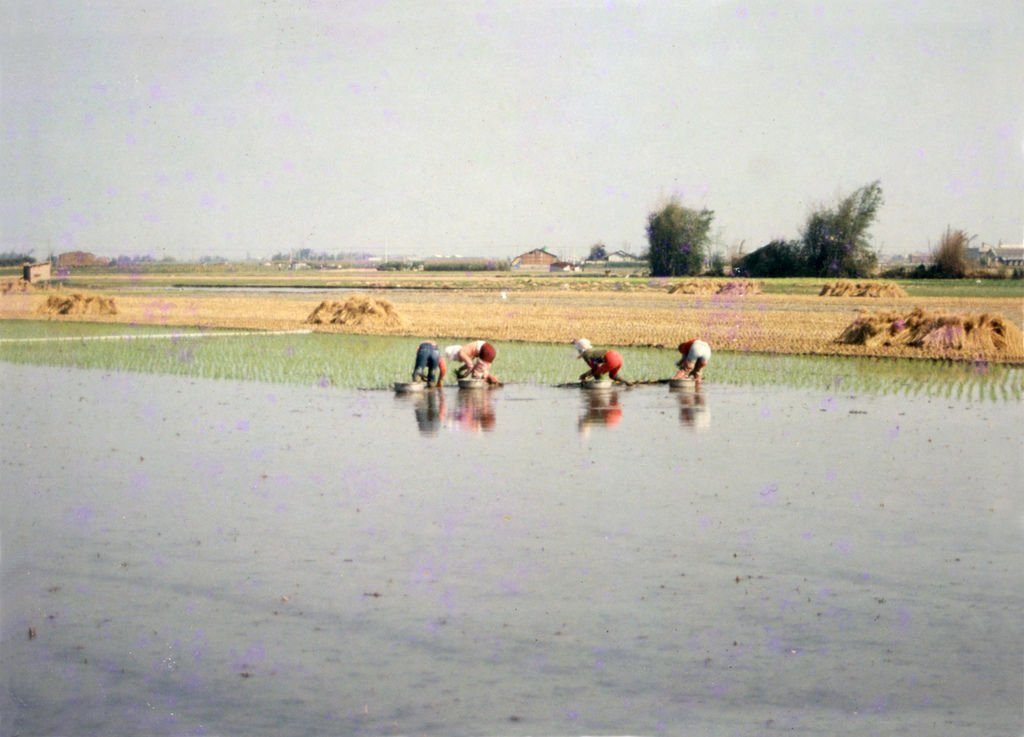 20030311-1-1.jpg