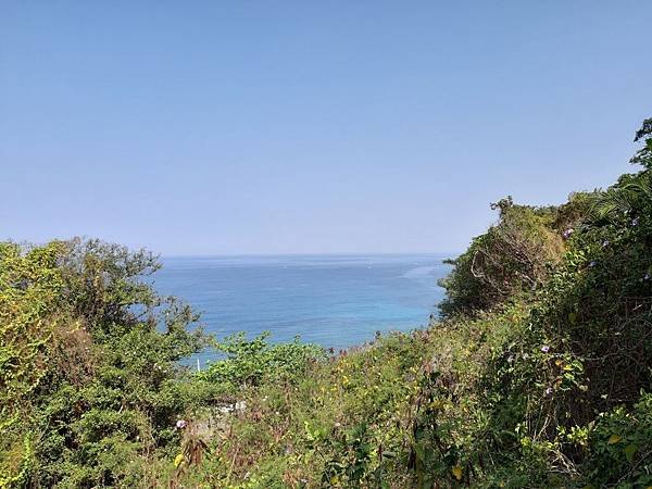 海龜之旅.小琉球_190318_0073.jpg
