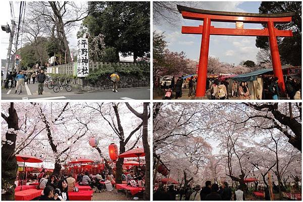 平野神社1