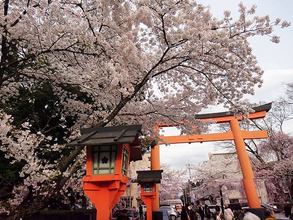 平野神社5