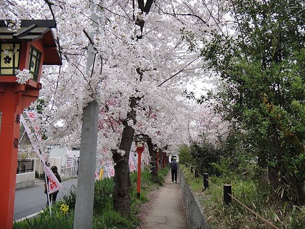 平野神社旁的小徑