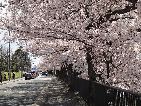 花園橋