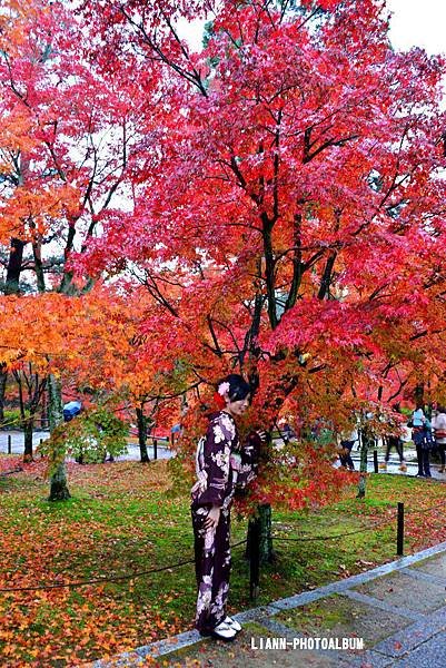 DSC_1228_small.jpg
