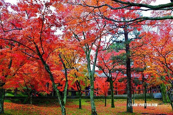 DSC_1229_small.jpg