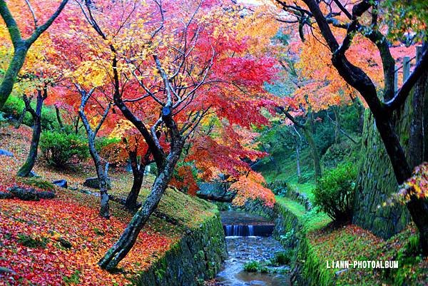 DSC_1263_small.jpg