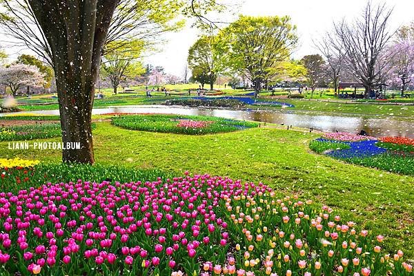 DSC_1831_small.jpg
