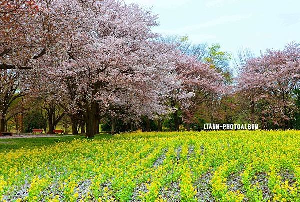 DSC_2779_small.jpg