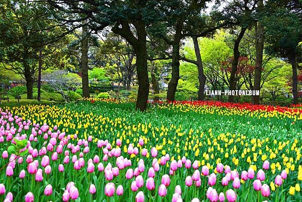 DSC_2895ch_small.jpg