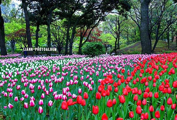 DSC_2958ch_small.jpg