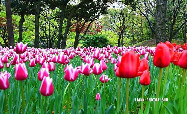 DSC_3034ch_small.jpg