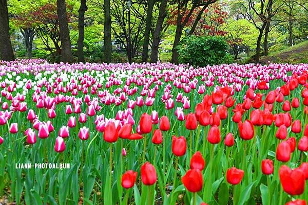 DSC_2914ch_small.jpg