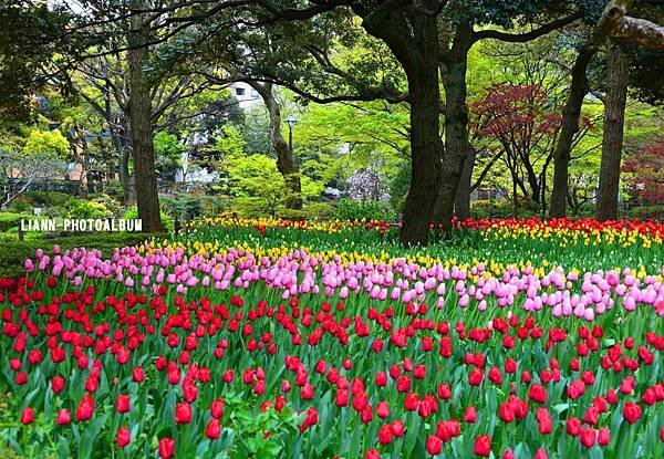 DSC_2893ch_small.jpg