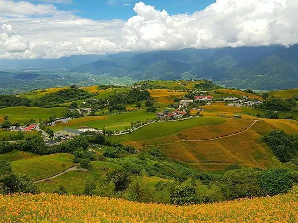 鹿野森活慢遊懶人包