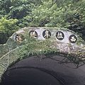 P9192601.JPG