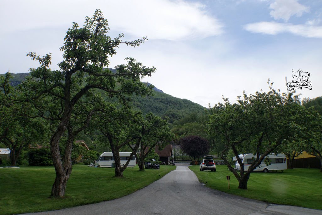 Flåm Hostel