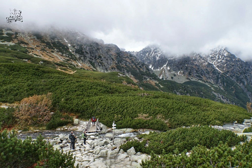 往下一座湖的沿途風景