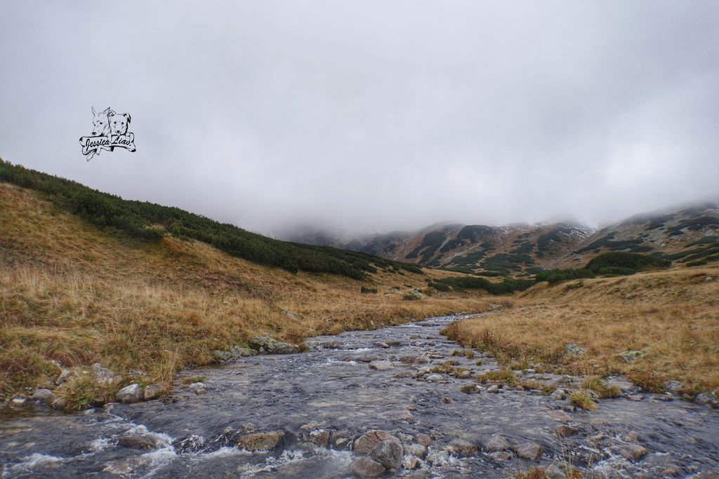 沿途風景