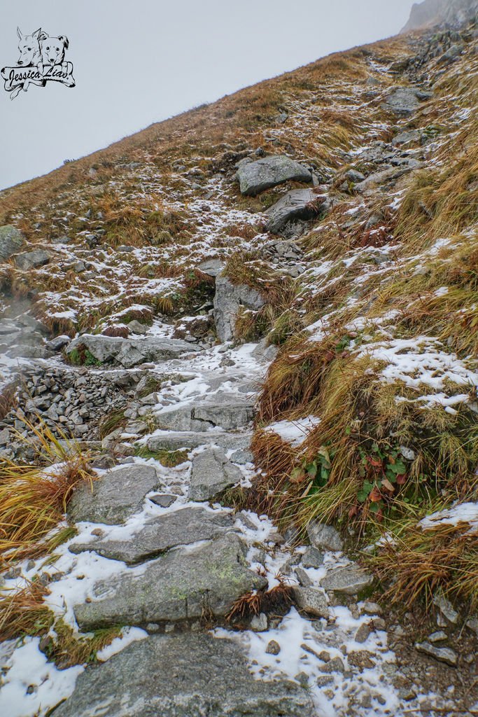 再來需要越過山頭，往Morskie Oko的方向前進，路上竟然有些許積雪！？