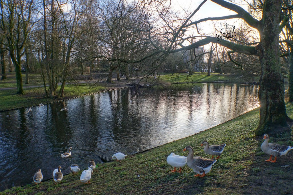 Noorderplantsoen Park