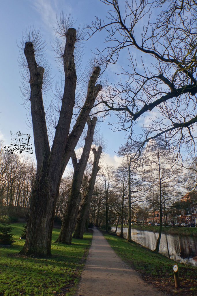 Noorderplantsoen Park