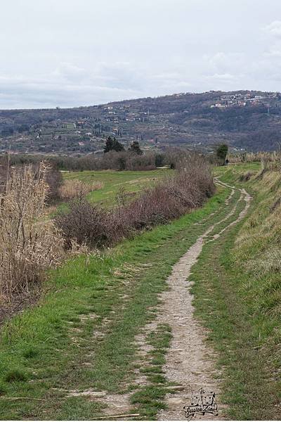 beautiful path