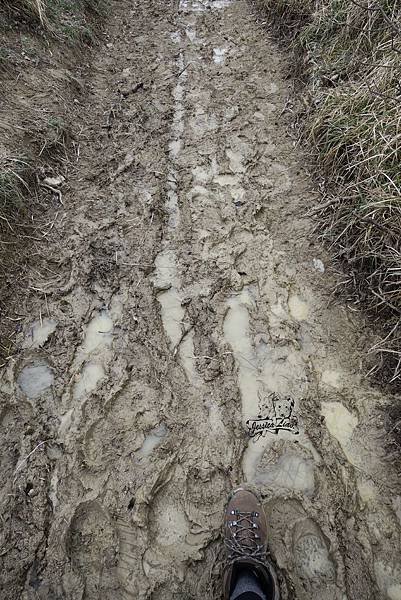 muddy road