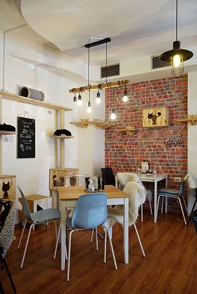 Cat Cafe Zagreb(2)