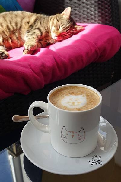 Cat Cafe Zagreb(9)