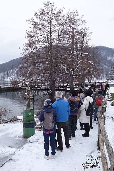 《克羅埃西亞》冬遊十六湖國家公園及一路向北的沿途(含2019