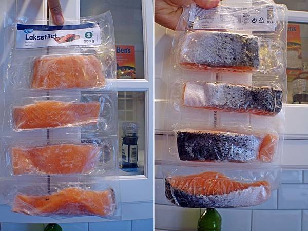 frozen salmon.jpg