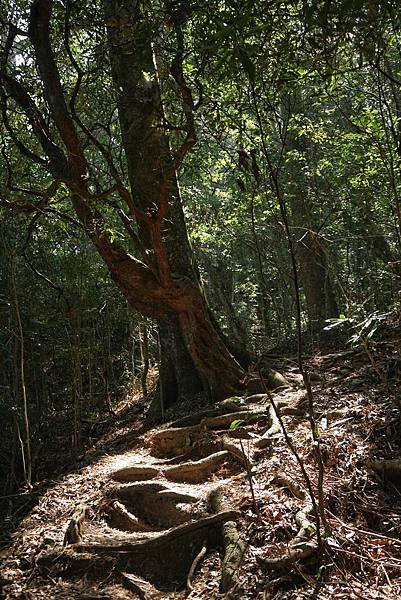 Hiking in Guguan｜Mountain Wuwo