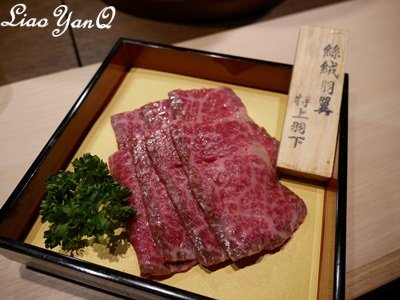 絲絨羽翼1.JPG