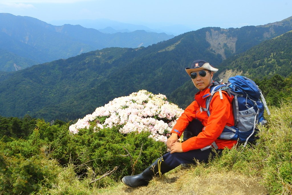 合歡杜鵑賞花行