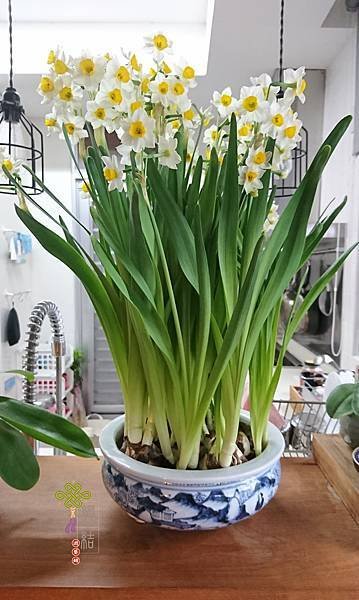20170317-1.jpg
