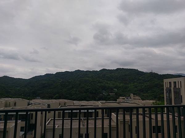 IMAG6516.jpg