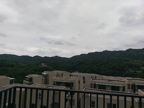 IMAG6519.jpg