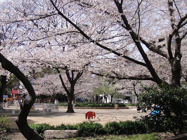 DSC01127.JPG