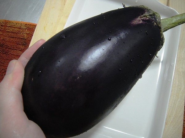 大胖茄子