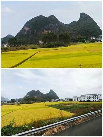 20241021 賀州三天遊(二)