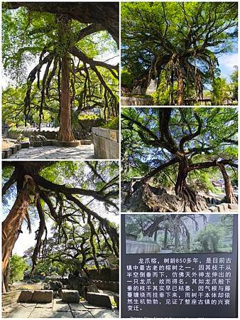 20241021 賀州三天遊(二)