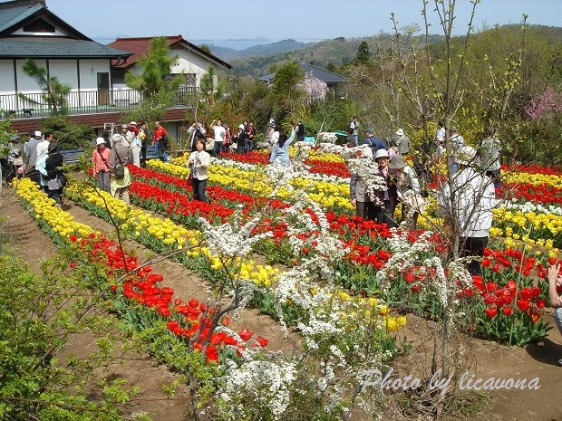 花見山公園