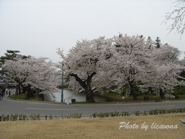 松が岬公園