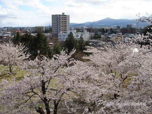 盛岡城跡公園